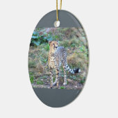 Cheetah Photo Keramisch Ornament (Links)