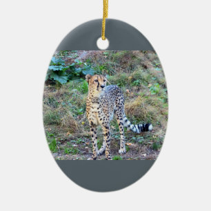 Cheetah Photo Keramisch Ornament