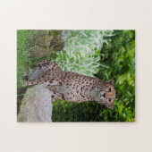 Cheetah Photo Puzzle Legpuzzel (Horizontaal)