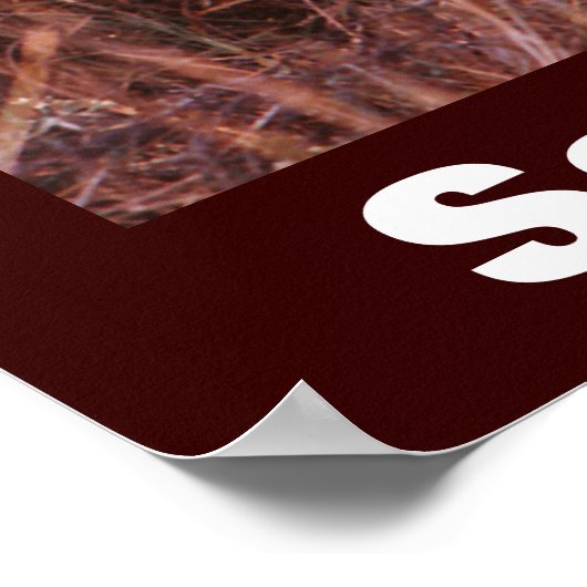 Cheetah Photo Save Our Wildlife Poster (Hoek)