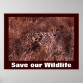 Cheetah Photo Save Our Wildlife Poster (Voorkant)