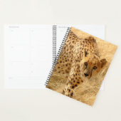 Cheetah Planner (Display)