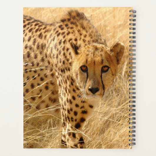 Cheetah Planner (Achterkant)