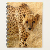 Cheetah Planner (Voorkant)