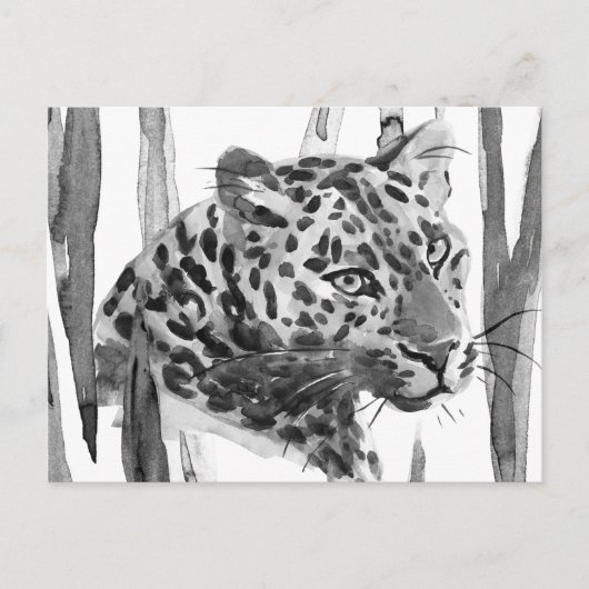 Cheetah Portrait Briefkaart (Voorkant)