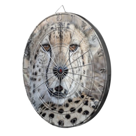 Cheetah Portrait Dartbord (Voorkant Rechts)