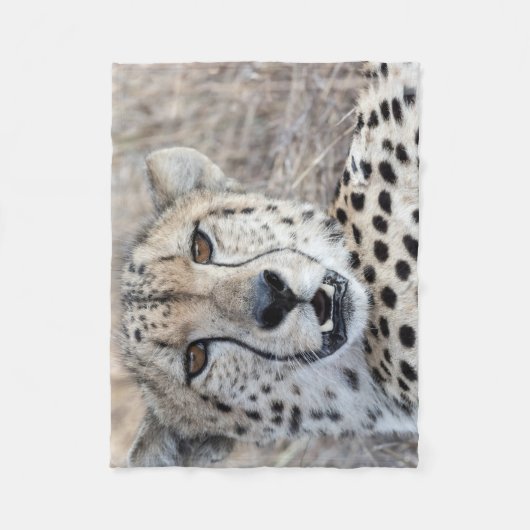 Cheetah Portrait Fleece Deken (Voorkant)