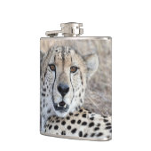 Cheetah Portrait Heupfles (Links)