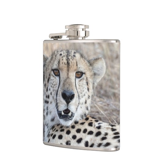 Cheetah Portrait Heupfles (Links)