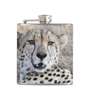 Cheetah Portrait Heupfles