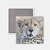 Cheetah Portrait Magneet (Voorkant / Achterkant)