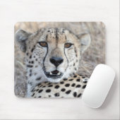 Cheetah Portrait Muismat (Met muis)