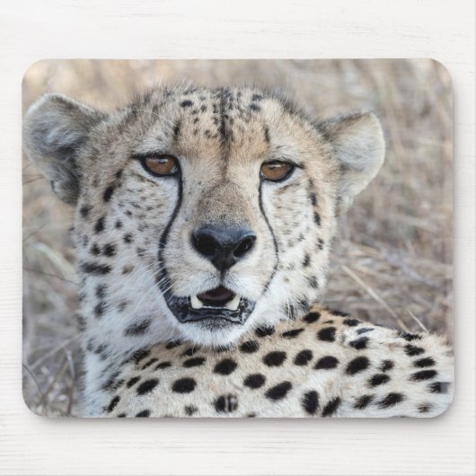 Cheetah Portrait Muismat (Voorkant)