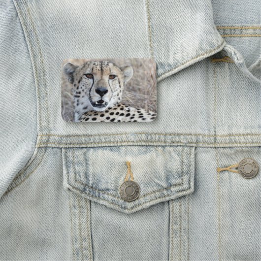 Cheetah Portrait Naamplaatje (In situ)