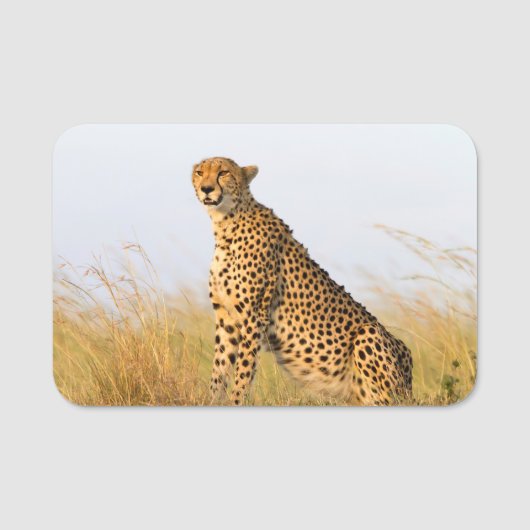 Cheetah Portrait Naamplaatje (Voorkant)