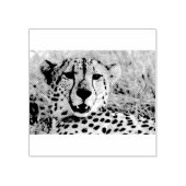 Cheetah Portrait Rubberstempel (Afrduk)