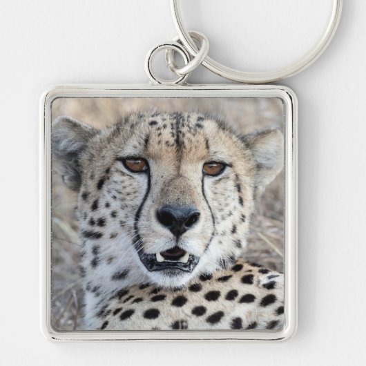 Cheetah Portrait Sleutelhanger (Voorkant)