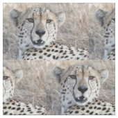 Cheetah Portrait Stof (Close Up)