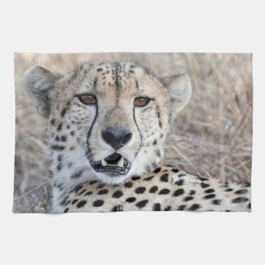 Cheetah Portrait Theedoek (Horizontaal)