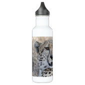 Cheetah Portrait Waterfles (Links)