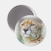 Cheetah portret magneet (Voorkant / Achterkant)