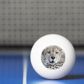 Cheetah Portret Pingpongbal (Net)