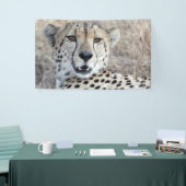 Cheetah Portret Spandoek (Beurs)