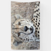 Cheetah Portret Spandoek (Verticaal)