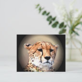 Cheetah Portret van Volle Maan: Natuur's Grace Briefkaart (Staand voorkant)