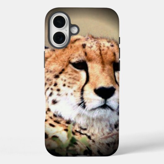 Cheetah Portret van Volle Maan: Natuur's Grace Case-Mate iPhone Case (Achterkant)