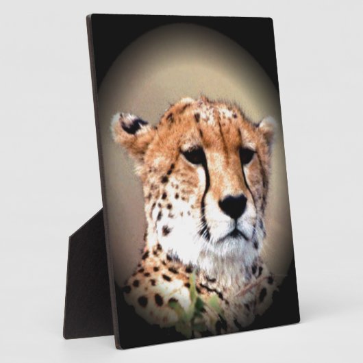 Cheetah Portret van Volle Maan: Natuur's Grace Fotoplaat (Zijkant)