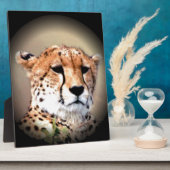 Cheetah Portret van Volle Maan: Natuur's Grace Fotoplaat (Zijkant)