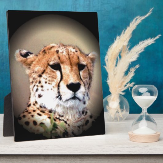 Cheetah Portret van Volle Maan: Natuur's Grace Fotoplaat (Zijkant)