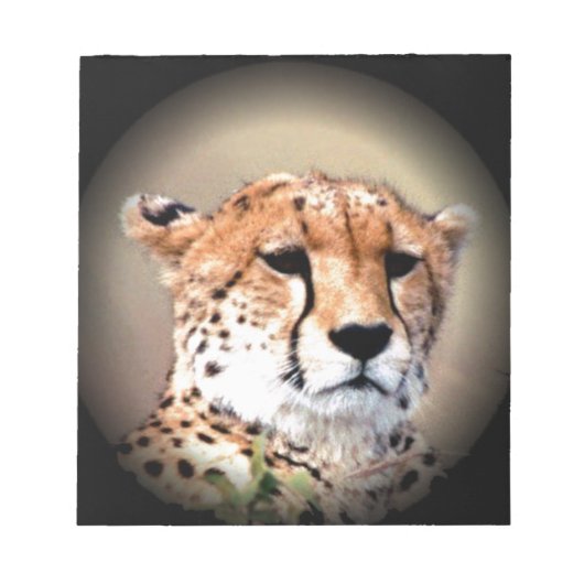 Cheetah Portret van Volle Maan: Natuur's Grace Notitieblok (Voorkant)