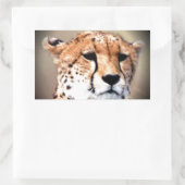 Cheetah Portret van Volle Maan: Natuur's Grace Rechthoekige Sticker (Tas)