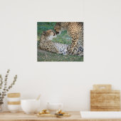 Cheetah Poster (Keuken)