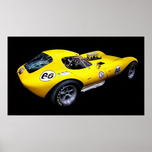 Cheetah! Poster (Voorkant)