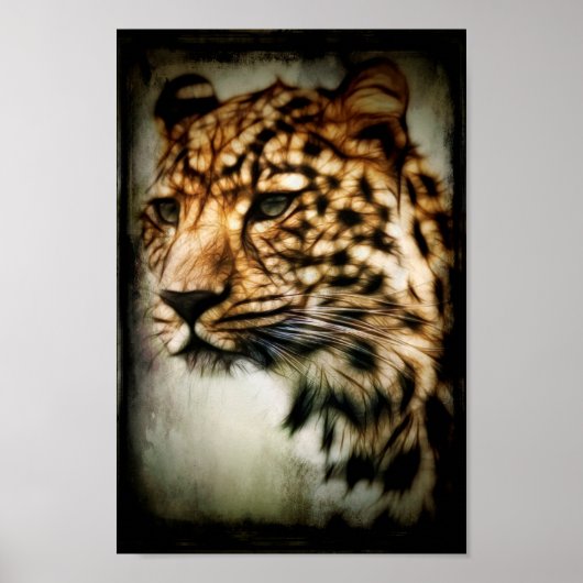 Cheetah Poster (Voorkant)