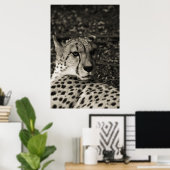 Cheetah Poster (Thuiskantoor)