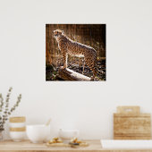 Cheetah Poster (Keuken)