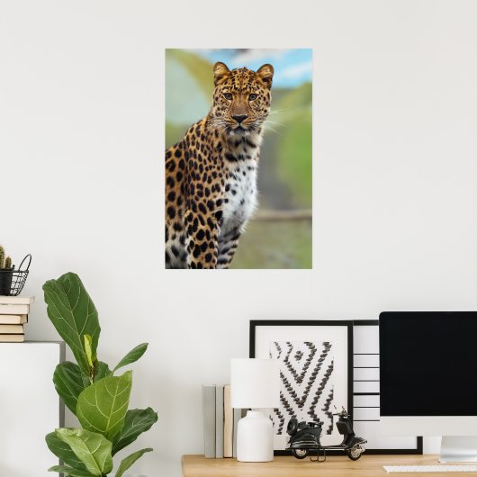 Cheetah Poster (Thuiskantoor)