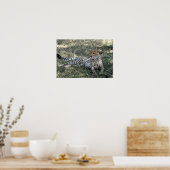 cheetah poster (Keuken)