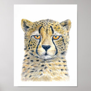 Cheetah Poster