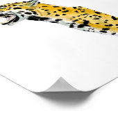 Cheetah  Poster (Hoek)