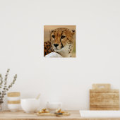 Cheetah Poster (Keuken)
