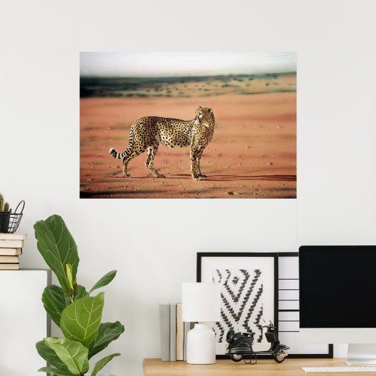 Cheetah Poster (Thuiskantoor)