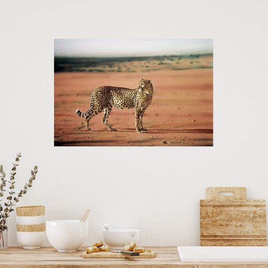 Cheetah Poster (Keuken)