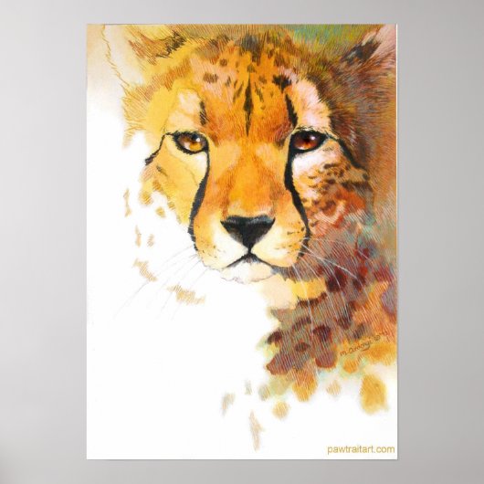 Cheetah! Poster (Voorkant)