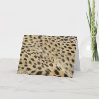 Cheetah Print Kaart