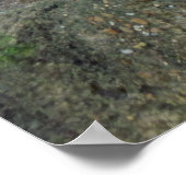 Cheetah Print / Poster (Hoek)